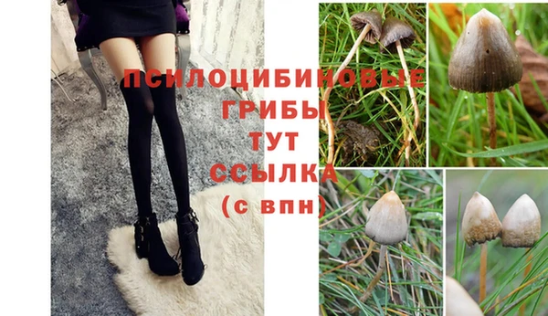 не бодяженный Армянск