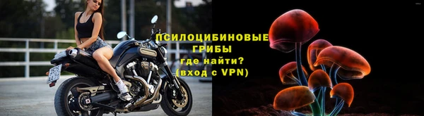 не бодяженный Армянск