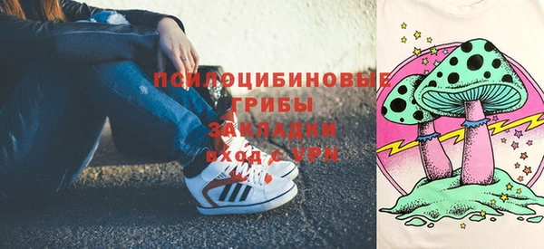 кокс Арсеньев
